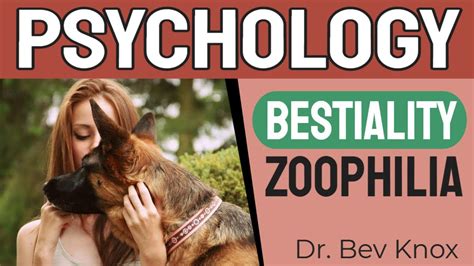 zoophilia xxx|New Bestiality Videos